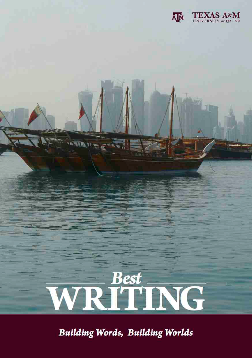 Best Writing 2014 book cover is image of a ship on water with a city in background behind fog
